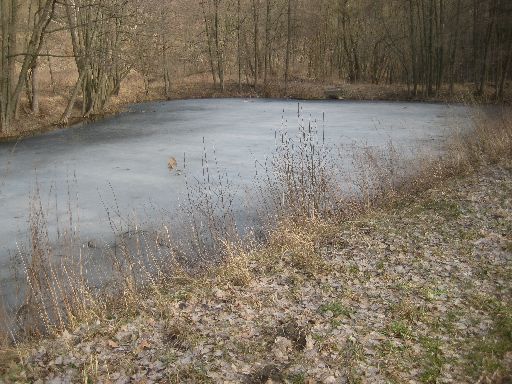 Icy lake